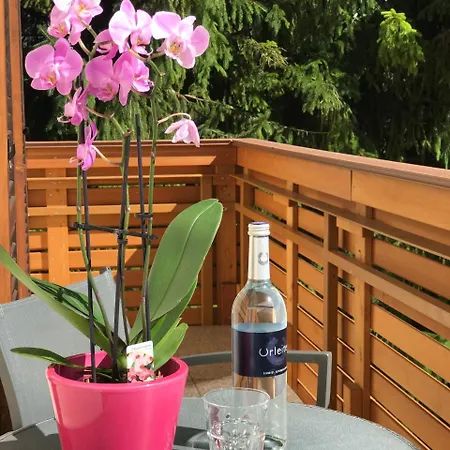 בית הארחה Sprenger